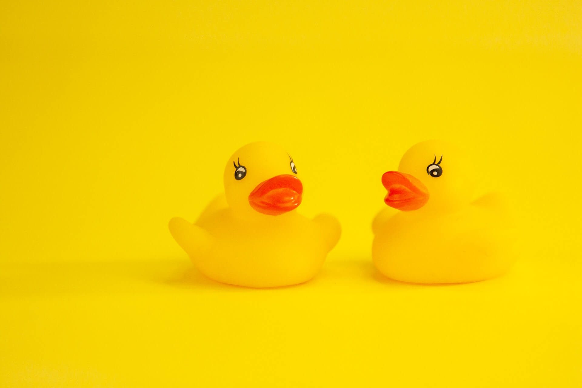 Yellow rubber ducks on bright yellow background